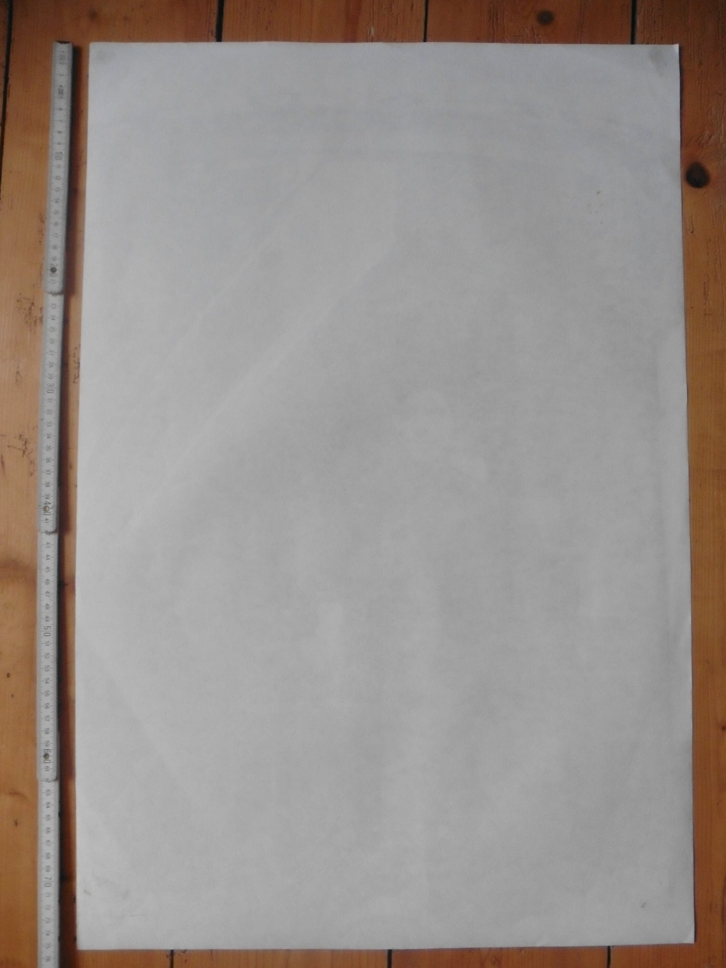 Original photography poster Norace Nicholls - 20.1"×29.9" (51×76cm)