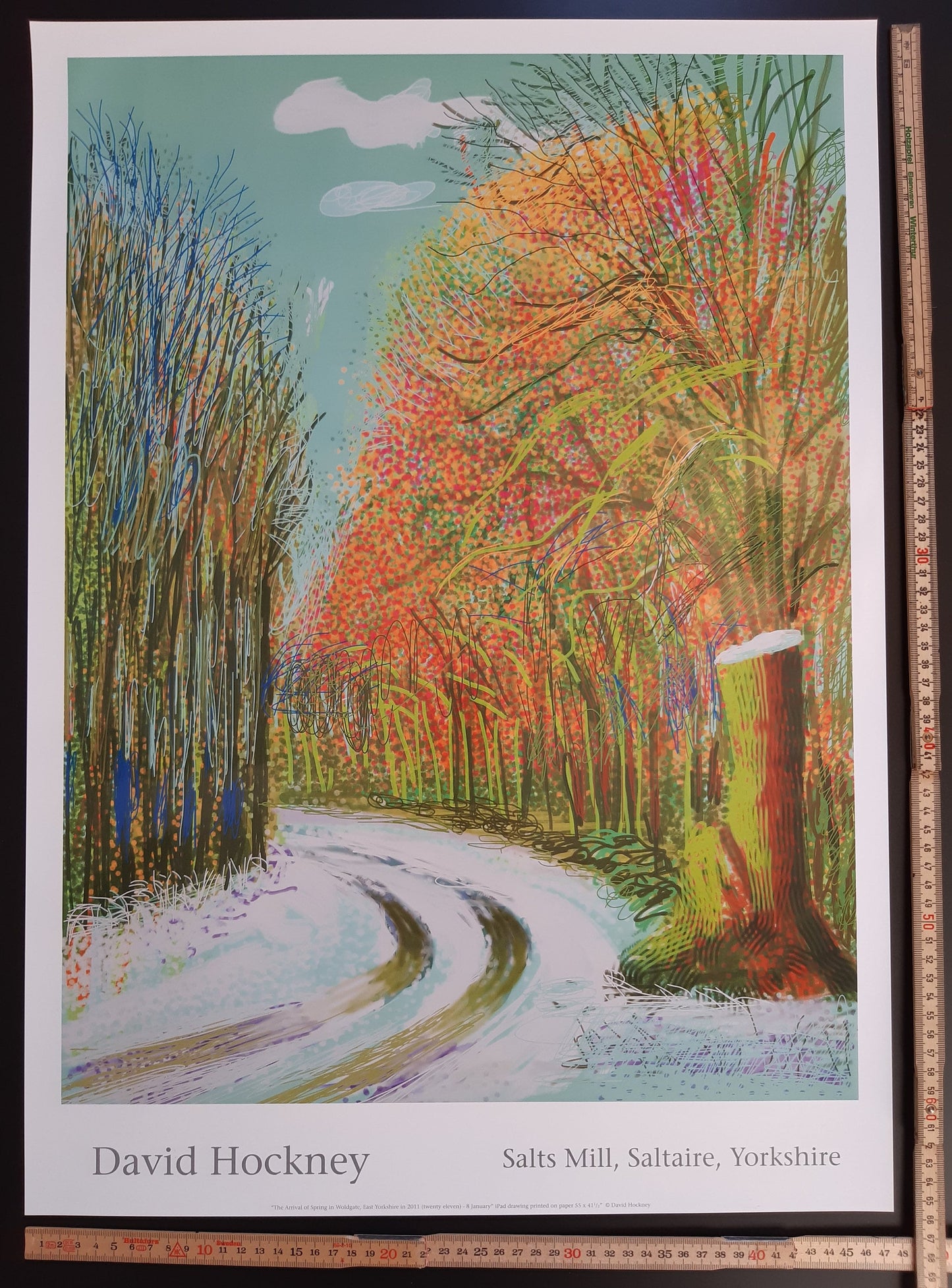 David Hockney original art poster - 18.7"×25.8" (47.5×65.5cm)