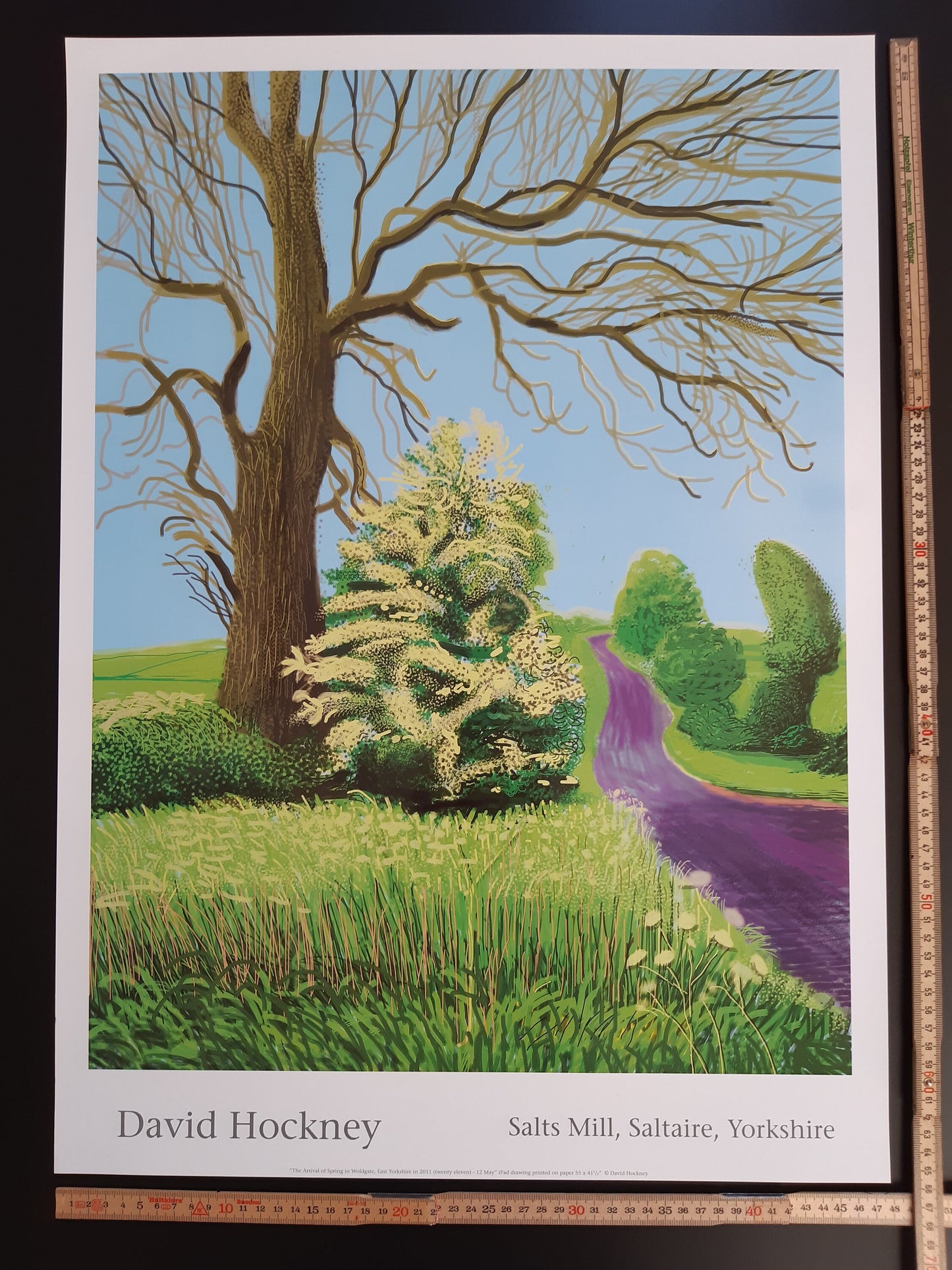 David Hockney original art poster - 18.7"×25.8" (47.5×65.5cm)