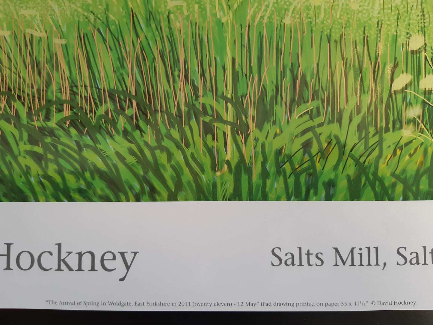 David Hockney original art poster - 18.7"×25.8" (47.5×65.5cm)