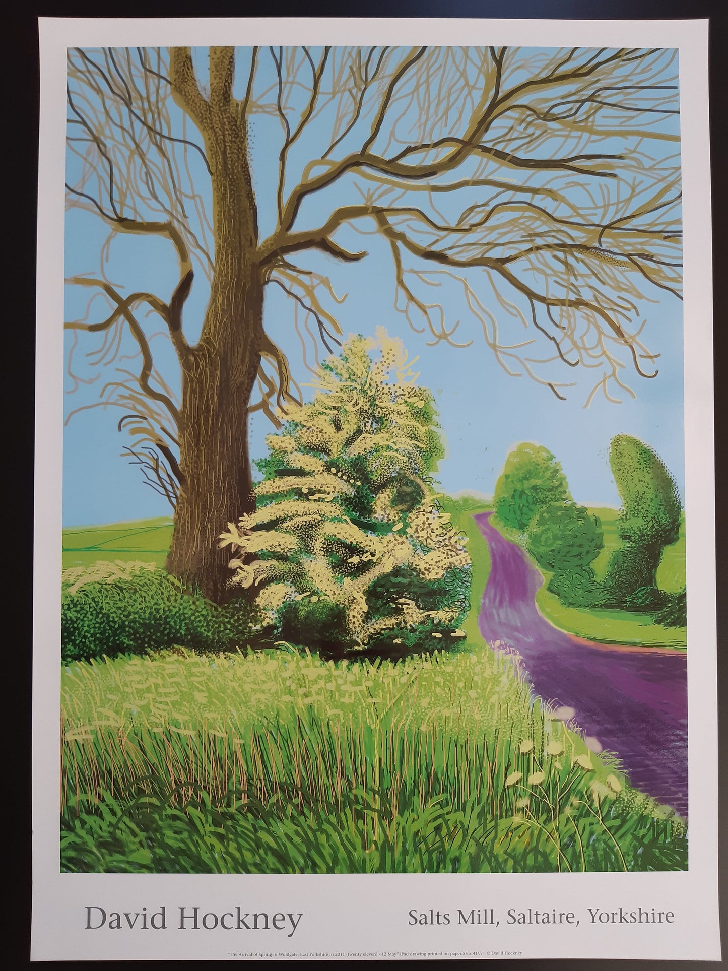 David Hockney original art poster - 18.7"×25.8" (47.5×65.5cm)