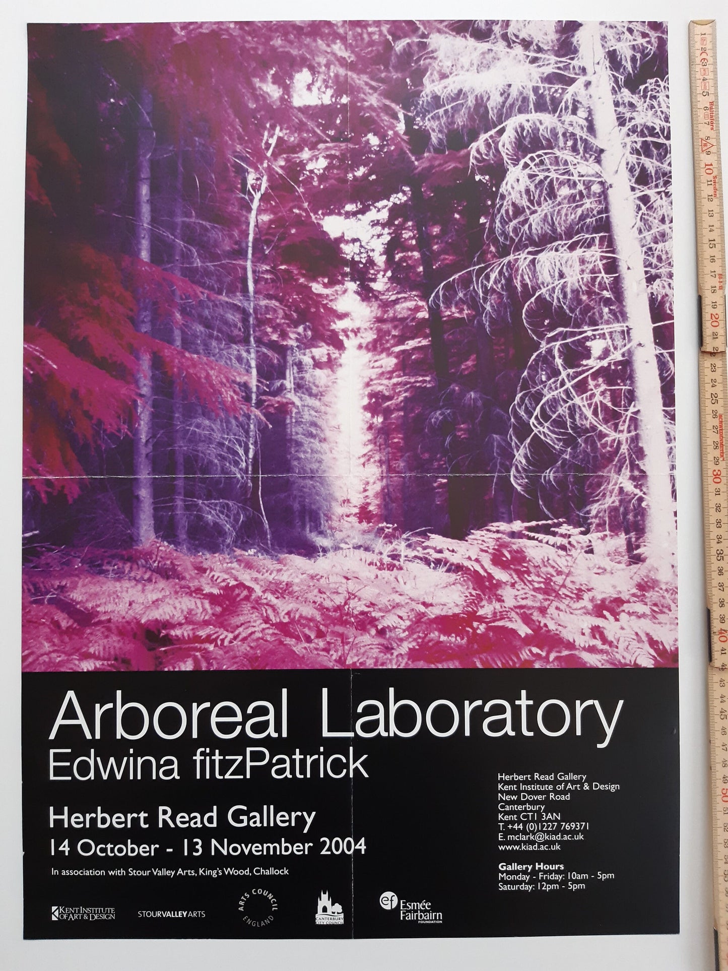 Edwina fitzPatrick original photo poster - 16.5"×23.4" (42×59.5cm)