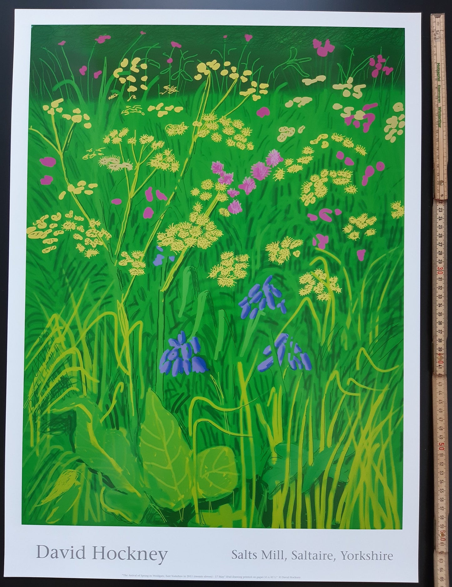 David Hockney original art poster - 18.7"×25.8" (47.5×65.5cm)