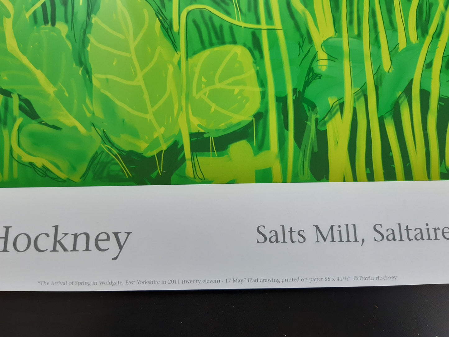 David Hockney original art poster - 18.7"×25.8" (47.5×65.5cm)
