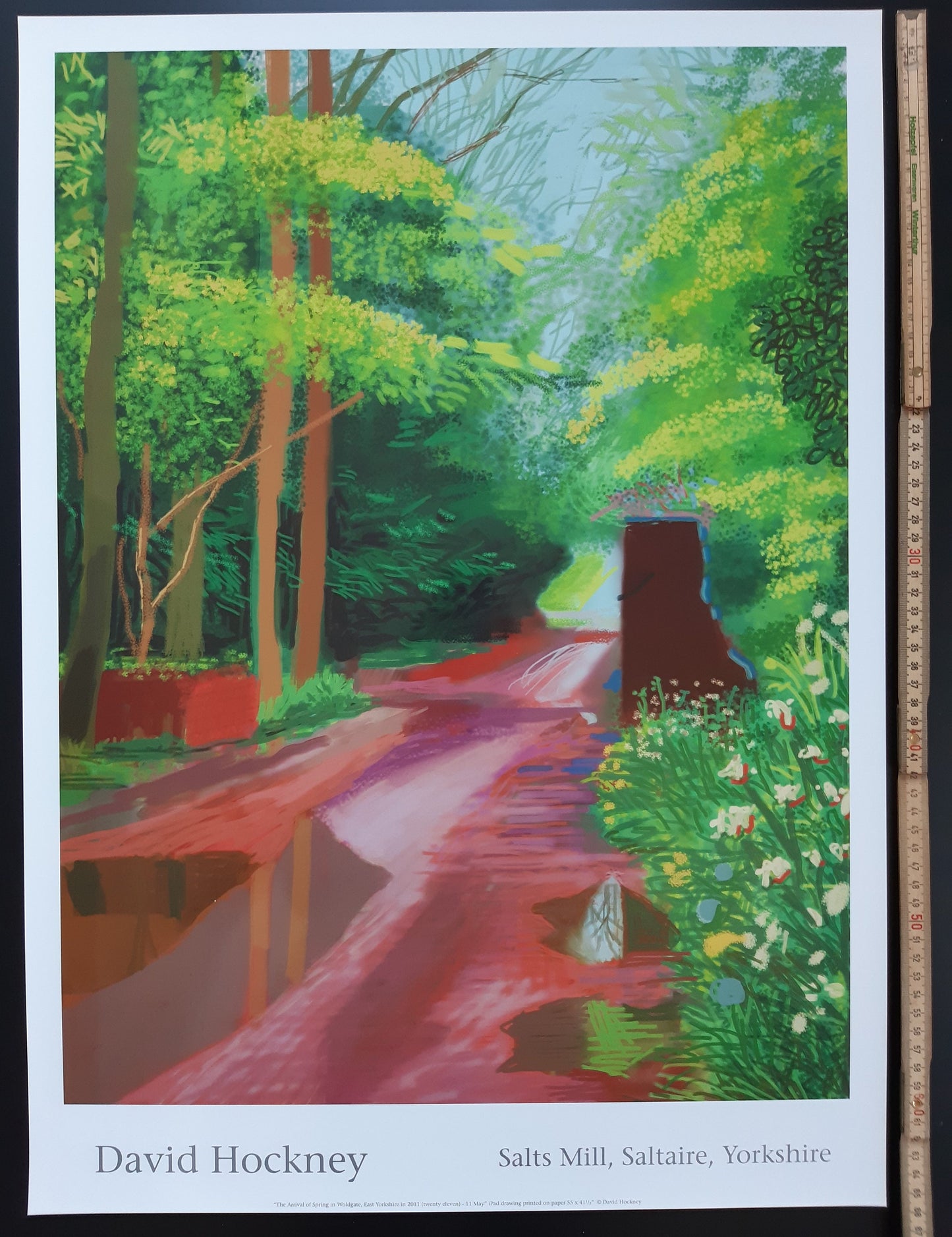 David Hockney original art poster - 18.7"×25.8" (47.5×65.5cm)