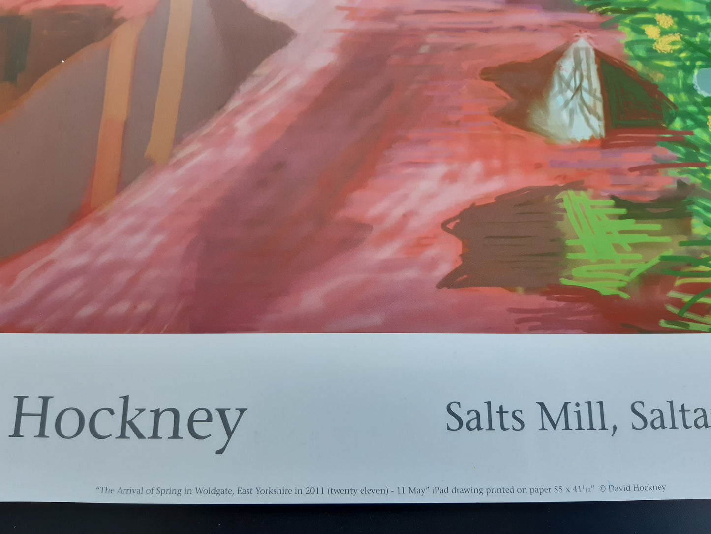 David Hockney original art poster - 18.7"×25.8" (47.5×65.5cm)