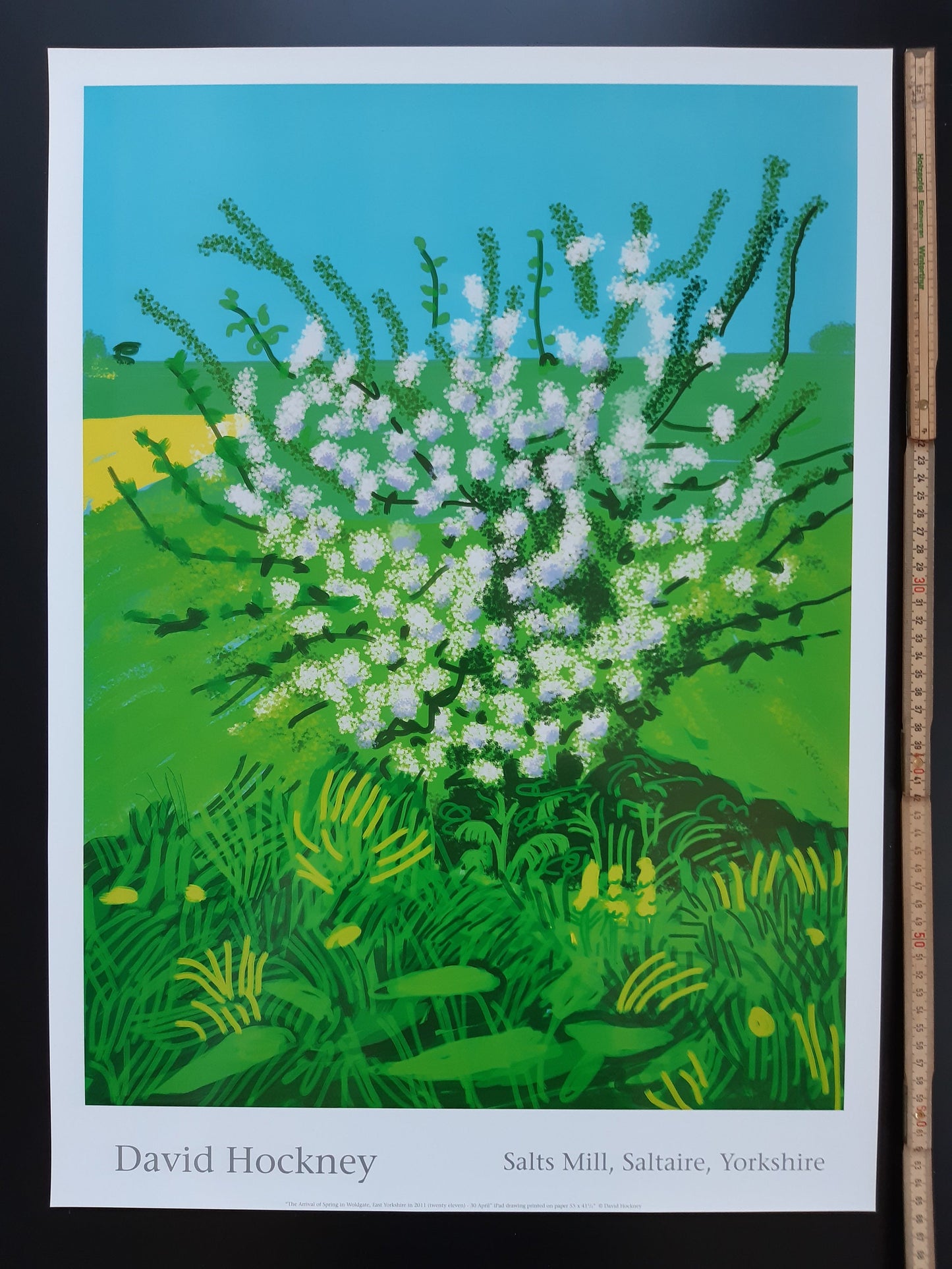 David Hockney original art poster - 18.7"×25.8" (47.5×65.5cm)
