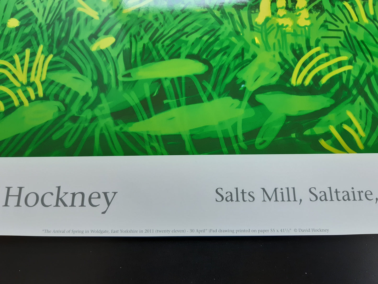 David Hockney original art poster - 18.7"×25.8" (47.5×65.5cm)