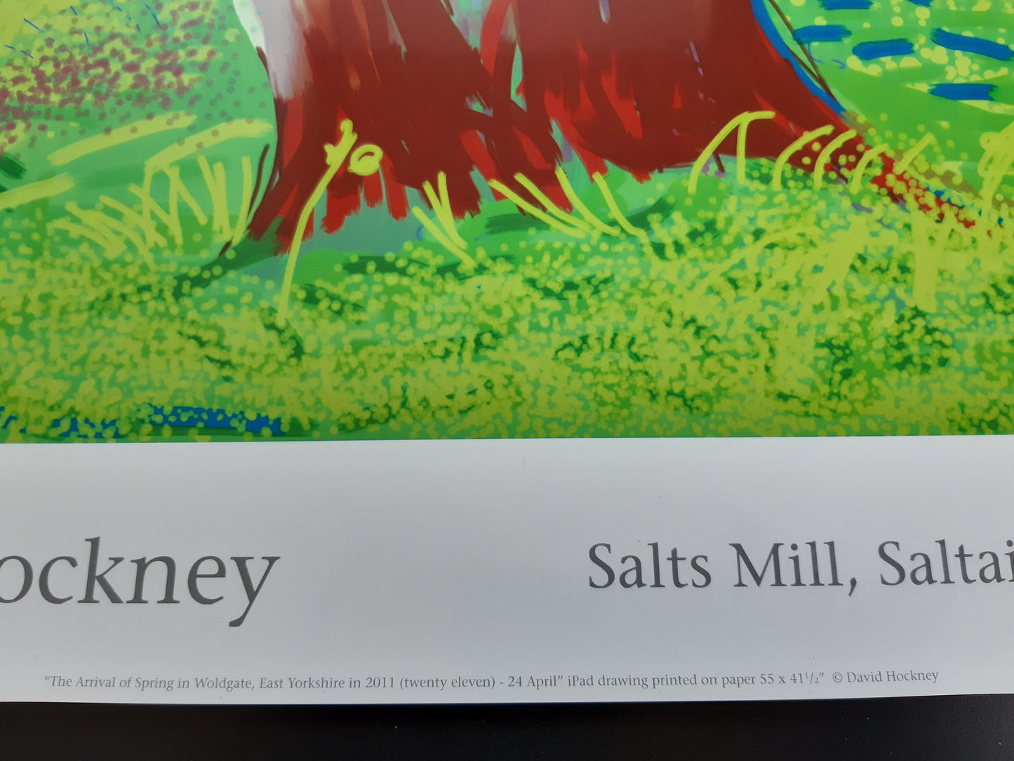 David Hockney original art poster - 18.7"×25.8" (47.5×65.5cm)