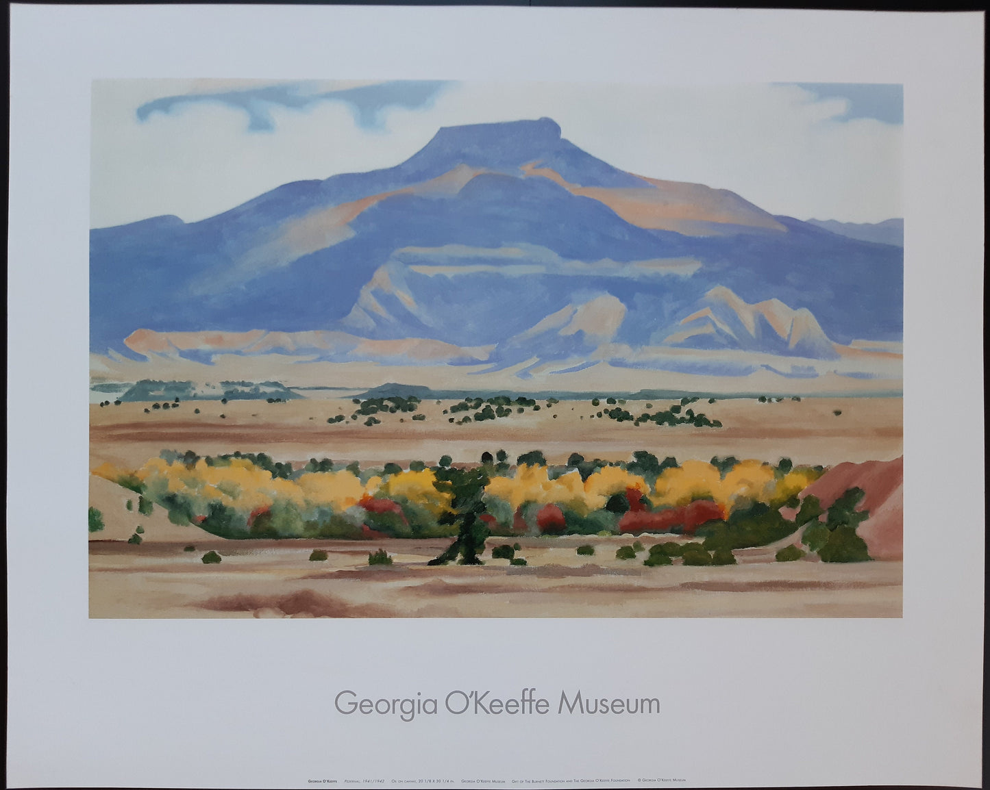 Georgia O'Keeffe original art poster - 29.9"×24.0" (76×61cm)