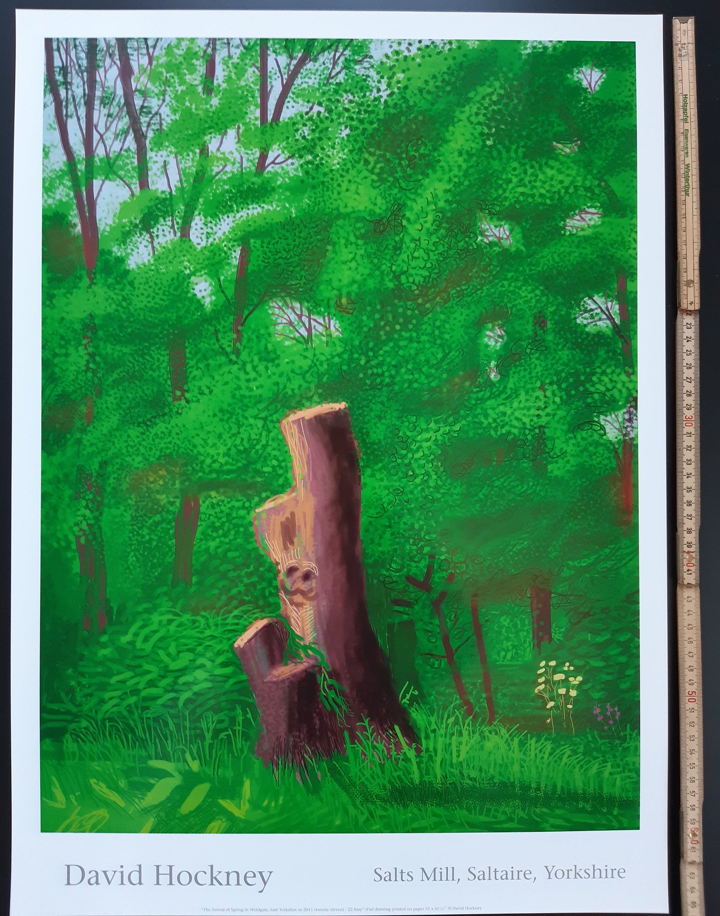 David Hockney original art poster - 18.7"×25.8" (47.5×65.5cm)