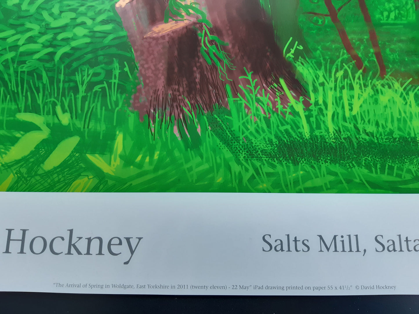 David Hockney original art poster - 18.7"×25.8" (47.5×65.5cm)