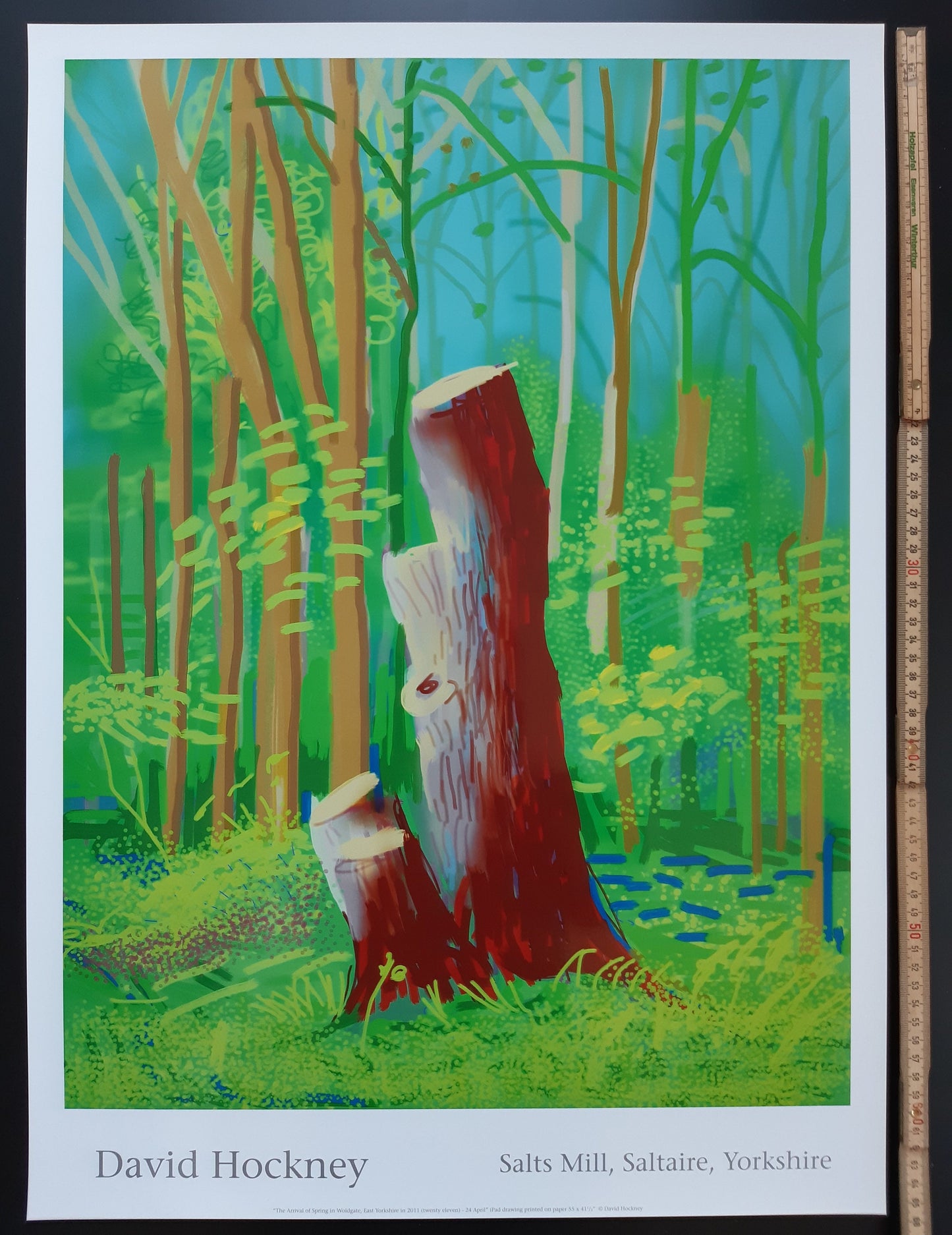 David Hockney original art poster - 18.7"×25.8" (47.5×65.5cm)