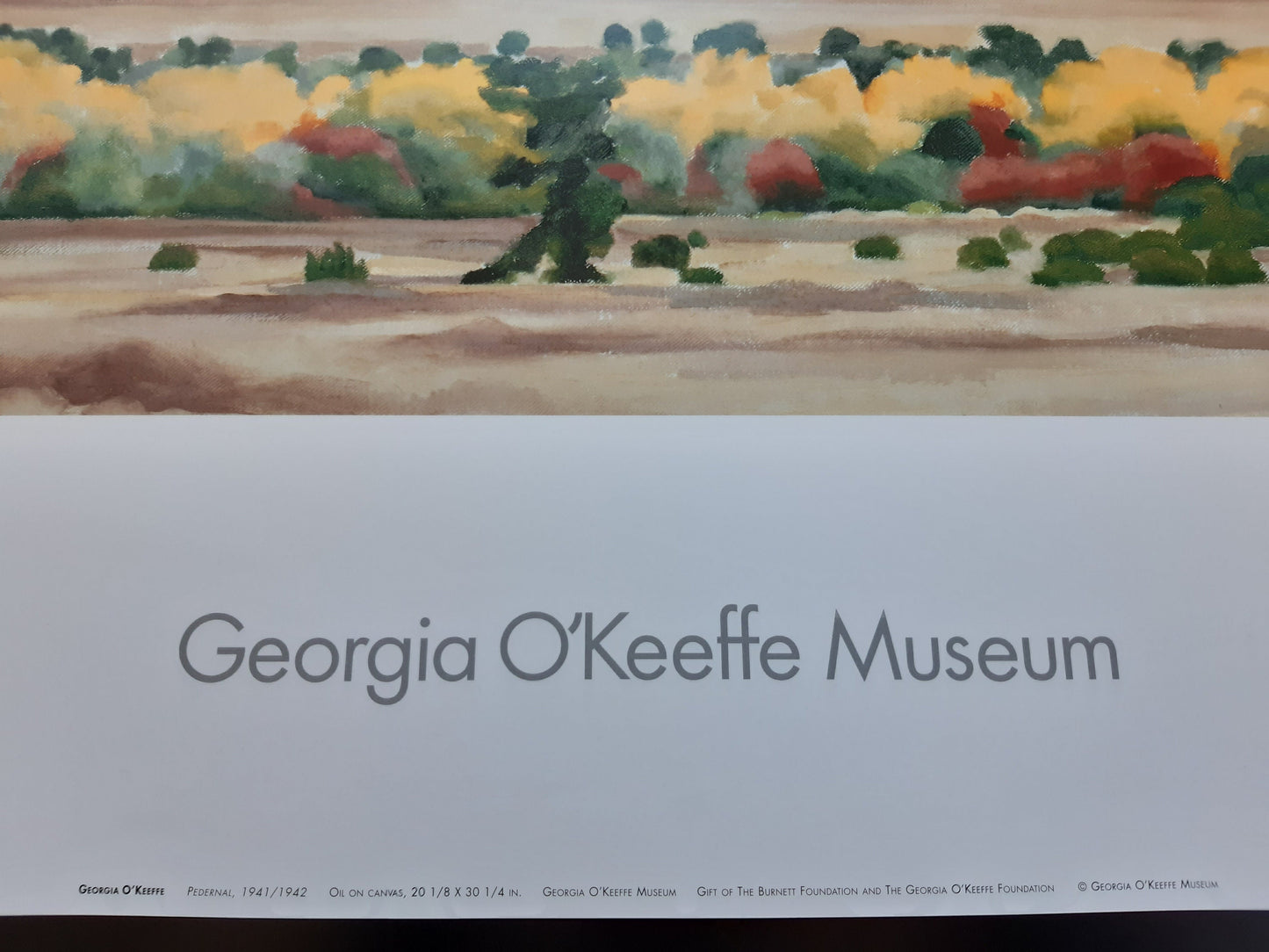 Georgia O'Keeffe original art poster - 29.9"×24.0" (76×61cm)
