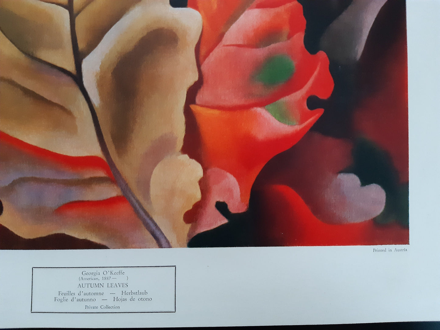 Georgia O'Keeffe original art poster - 19.1"×23.6" (48.5×60cm)
