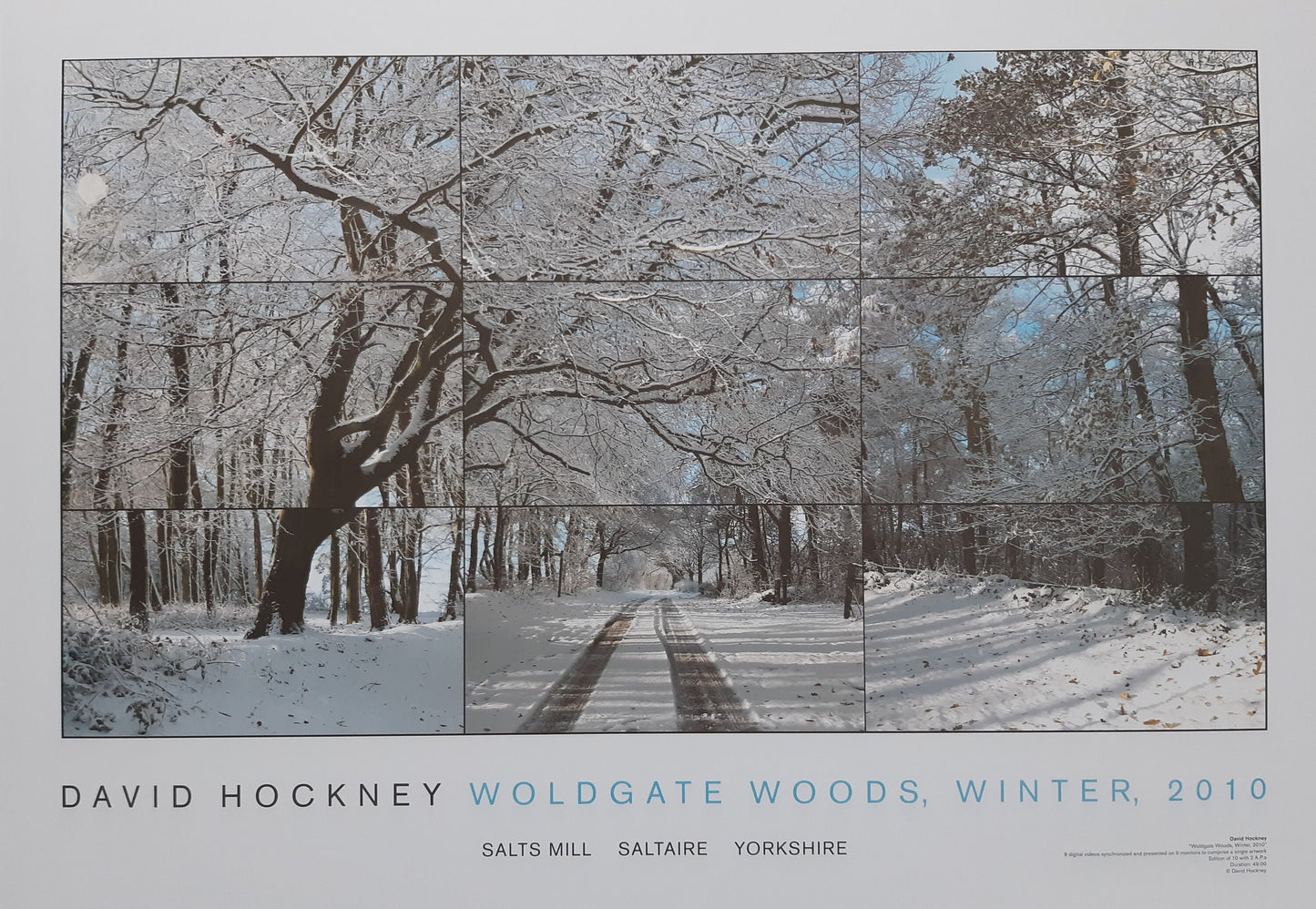David Hockney original art poster - 19.2"×27.6" (48.8×70.2cm)