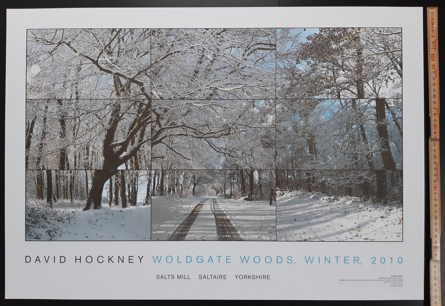 David Hockney original art poster - 19.2"×27.6" (48.8×70.2cm)