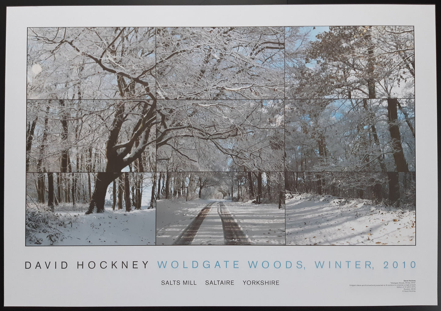 David Hockney original art poster - 19.2"×27.6" (48.8×70.2cm)