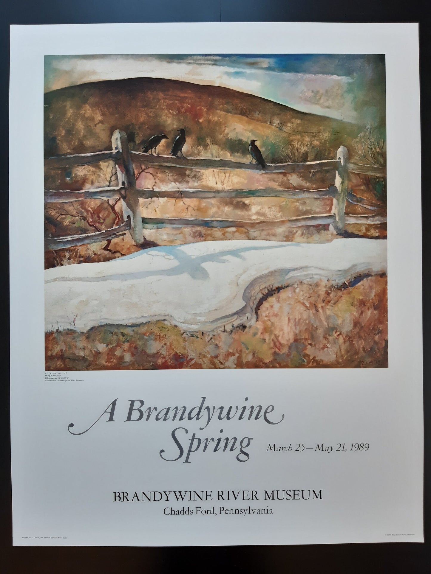 N. C. Wyeth original art poster - 26.0"×32.9" (66×83.5cm)