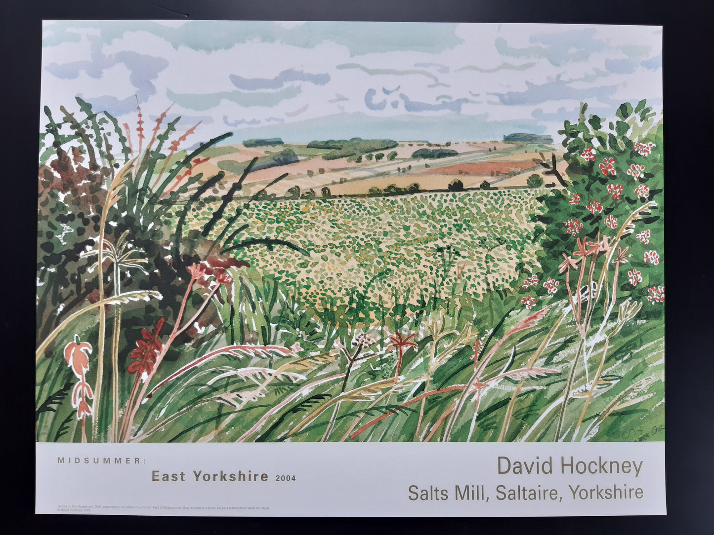 David Hockney original art poster - 22.4"×17.7" (57×45cm)