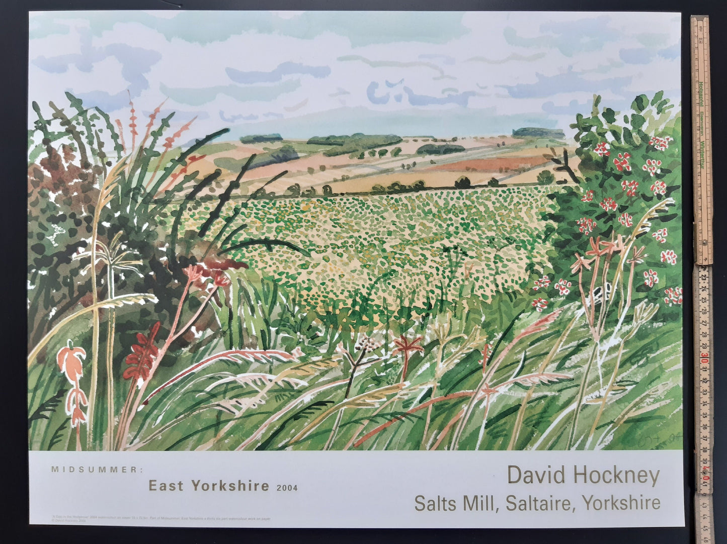 David Hockney original art poster - 22.4"×17.7" (57×45cm)