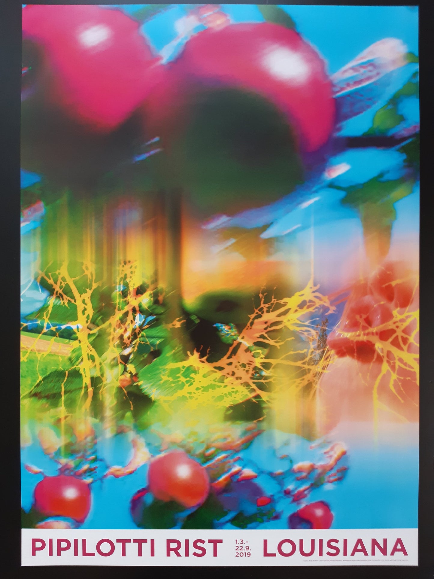 Pipilotti Rist  original art Poster - 23.2"×33.1" (59×84cm)