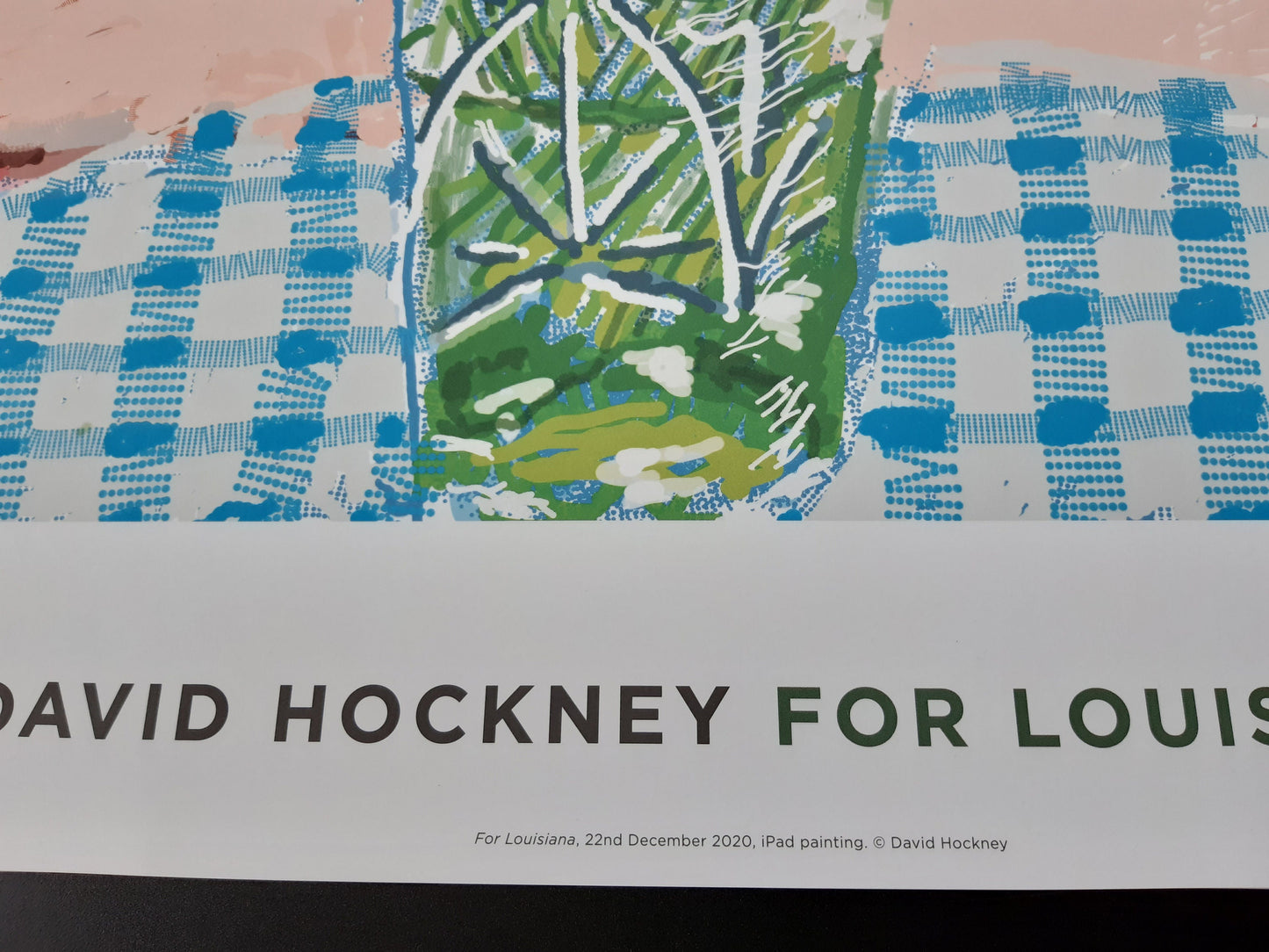 David Hockney original art poster - 23.4"×33.1" (59.5×84cm)