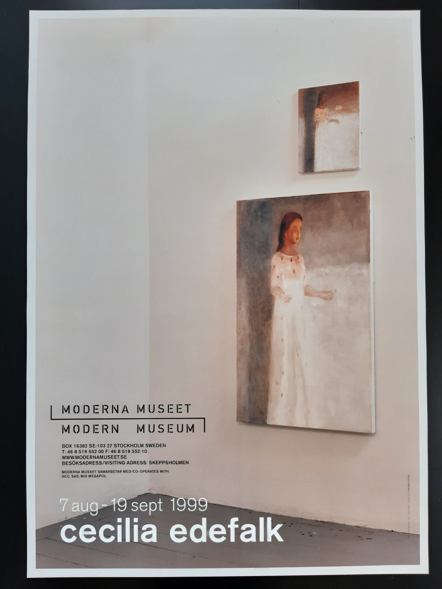 Cecilia Edefalk art exhibition poster - 27.6"×39.4" (70×100cm)