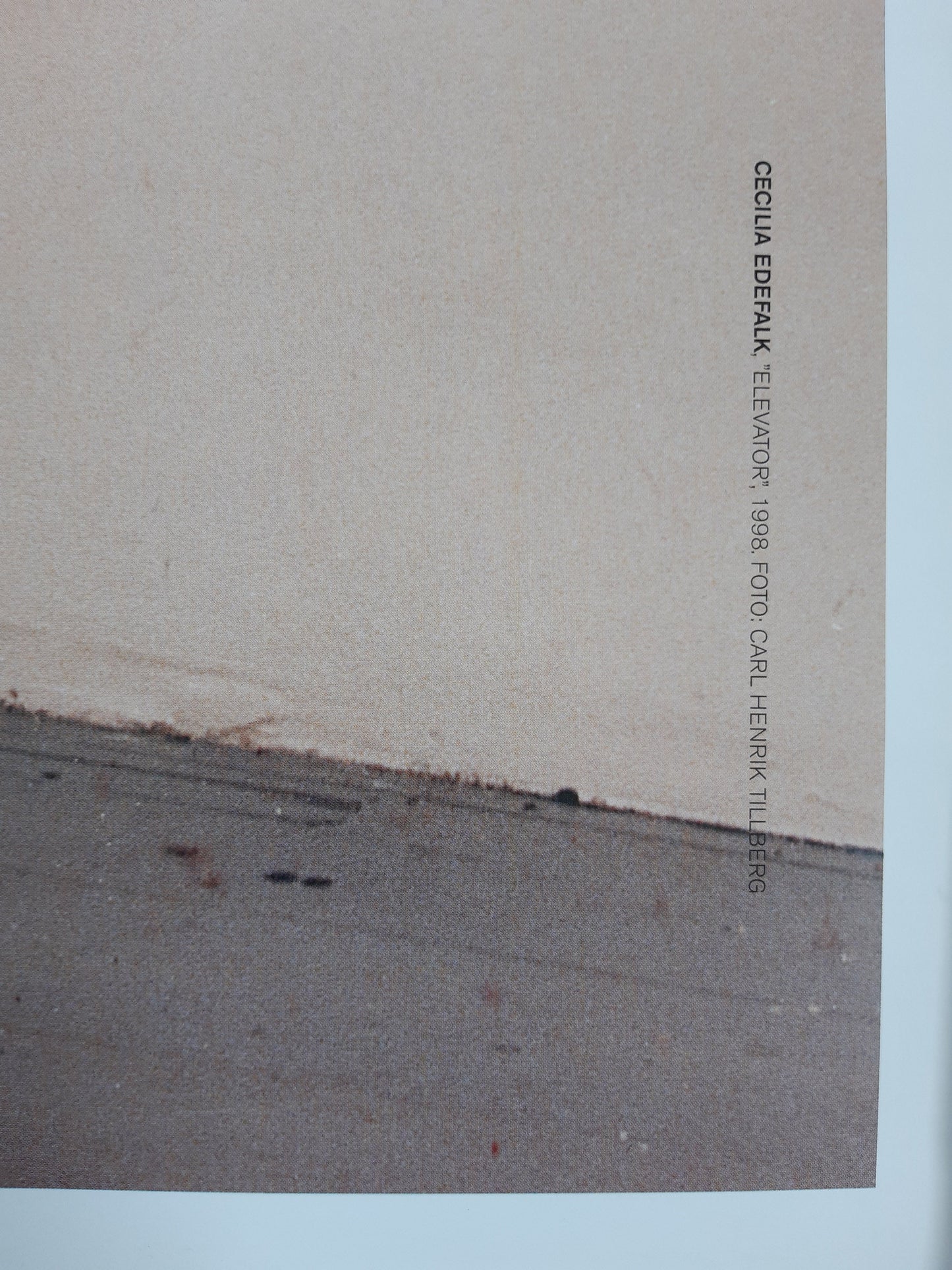 Cecilia Edefalk art exhibition poster - 27.6"×39.4" (70×100cm)