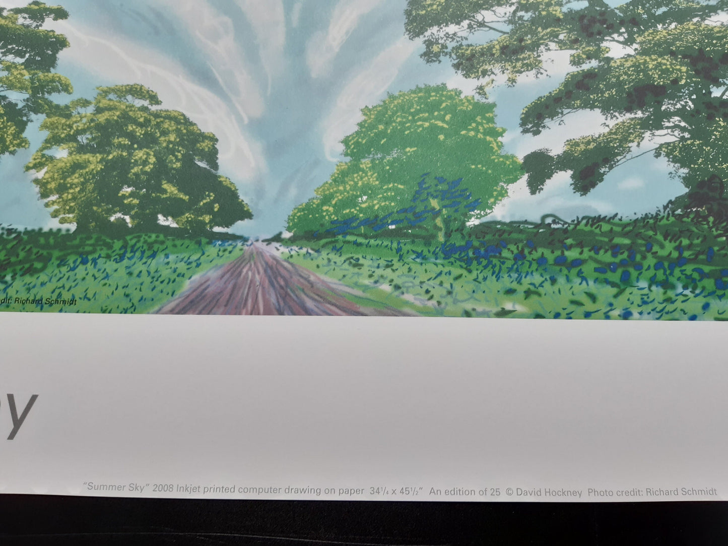 David Hockney art print - 24.2"×19.5" (61.5×49.5cm)