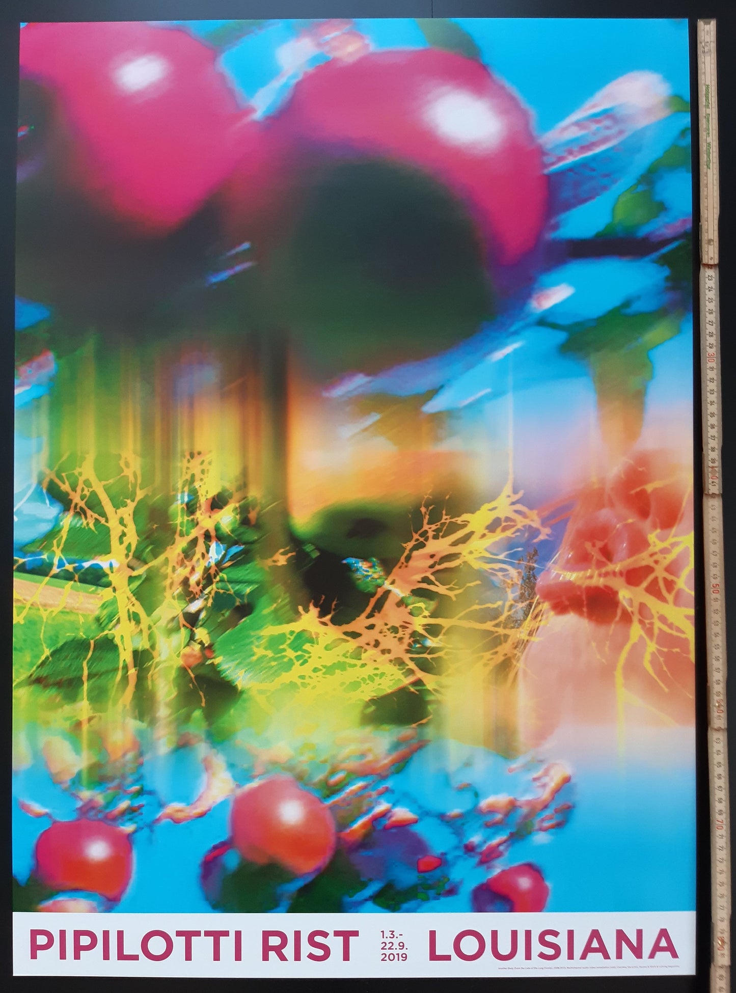 Pipilotti Rist  original art Poster - 23.2"×33.1" (59×84cm)