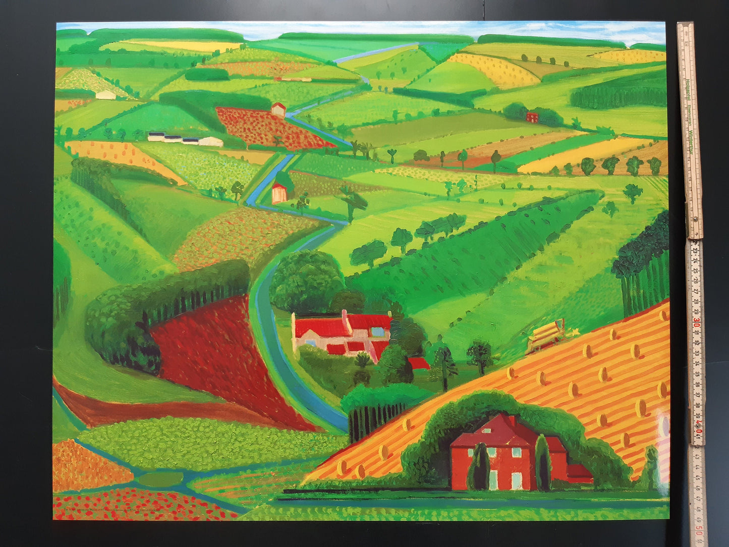 David Hockney art print - 24.2"×19.7" (61.5×50cm)
