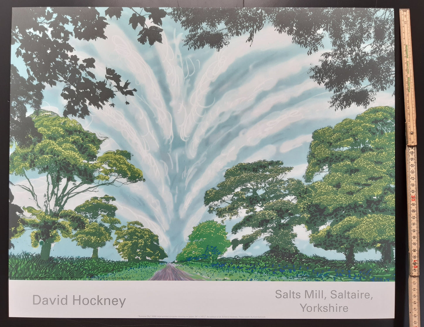David Hockney art print - 24.2"×19.5" (61.5×49.5cm)