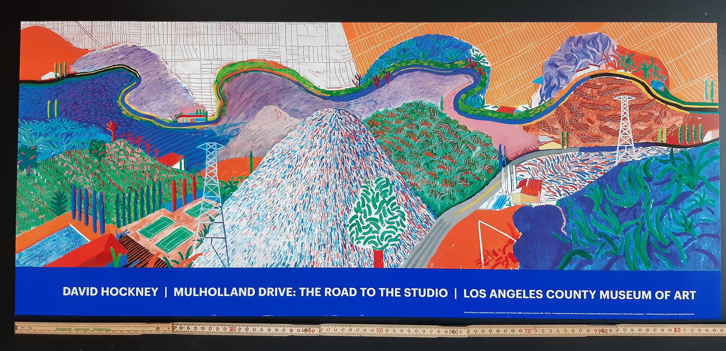 David Hockney art poster - 38.0"×15.9" (96.5×40.5cm)