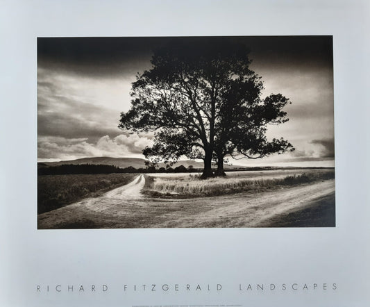 Richard Fitzgerald photo poster - 23.6"×19.7" (60×50cm)