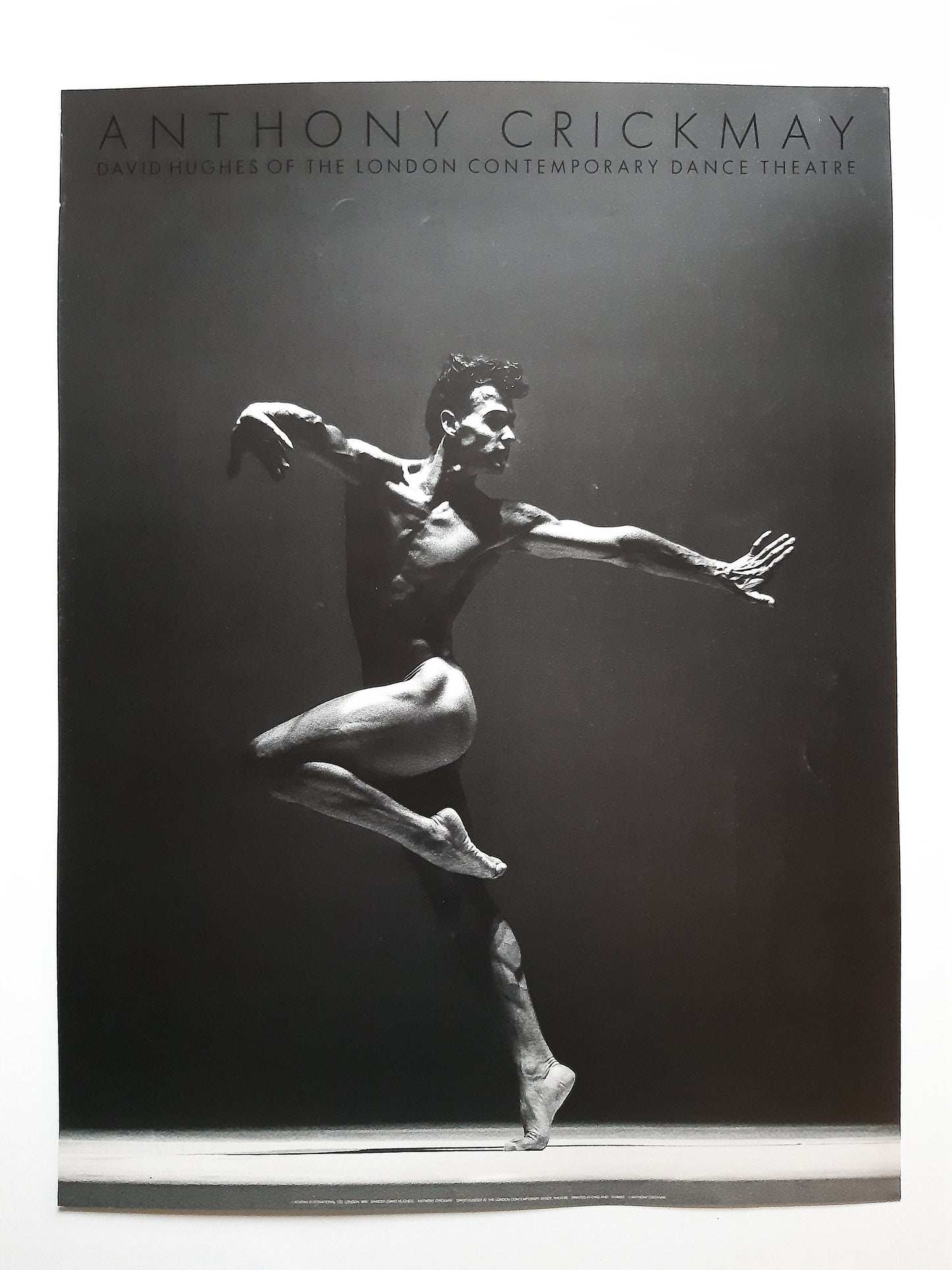 Anthony Crickmay photo poster - 19.7"×31.5" (50×80cm)