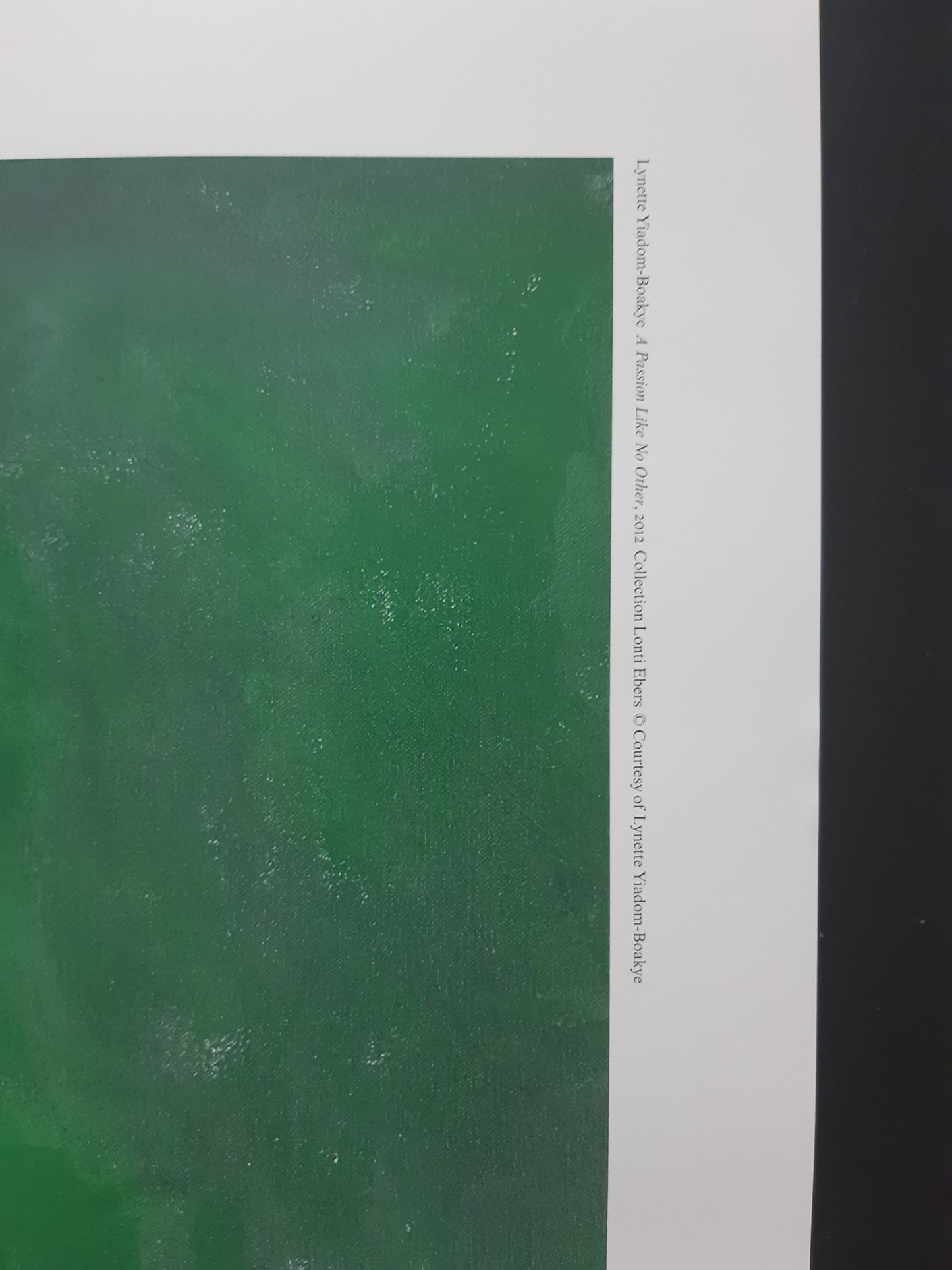 Lynette Yiadom-Boakye art exhibition poster - 27.6"×39.4" (70×100cm)