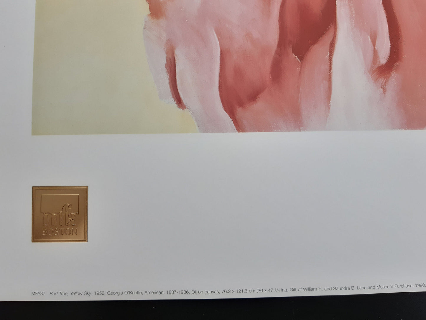 Georgia O'Keeffe original art poster - 31.5"×23.6" (80×60cm)