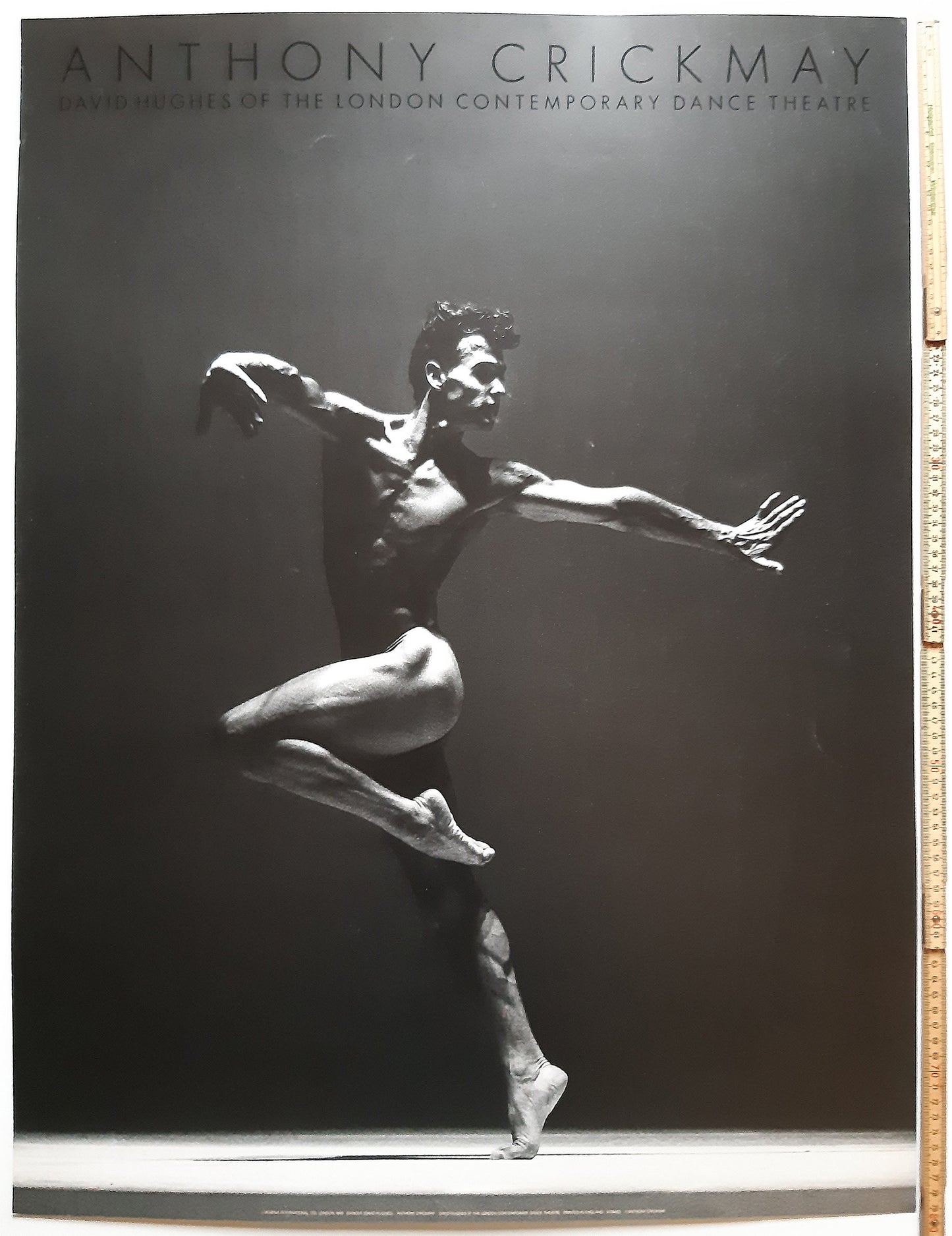 Anthony Crickmay photo poster - 19.7"×31.5" (50×80cm)