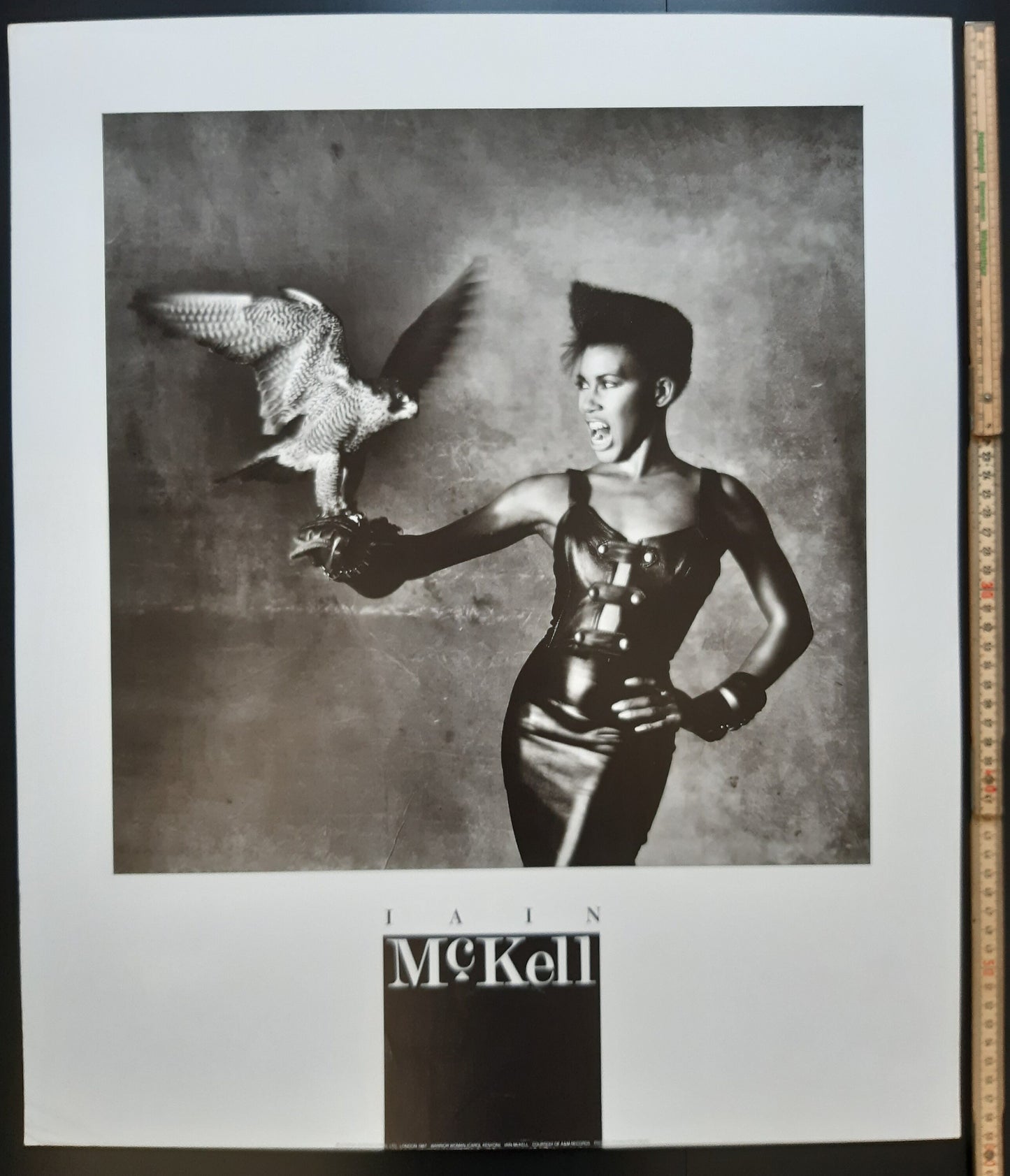 Iain McKell photo poster - 19.7"×23.4" (50×59.5cm)