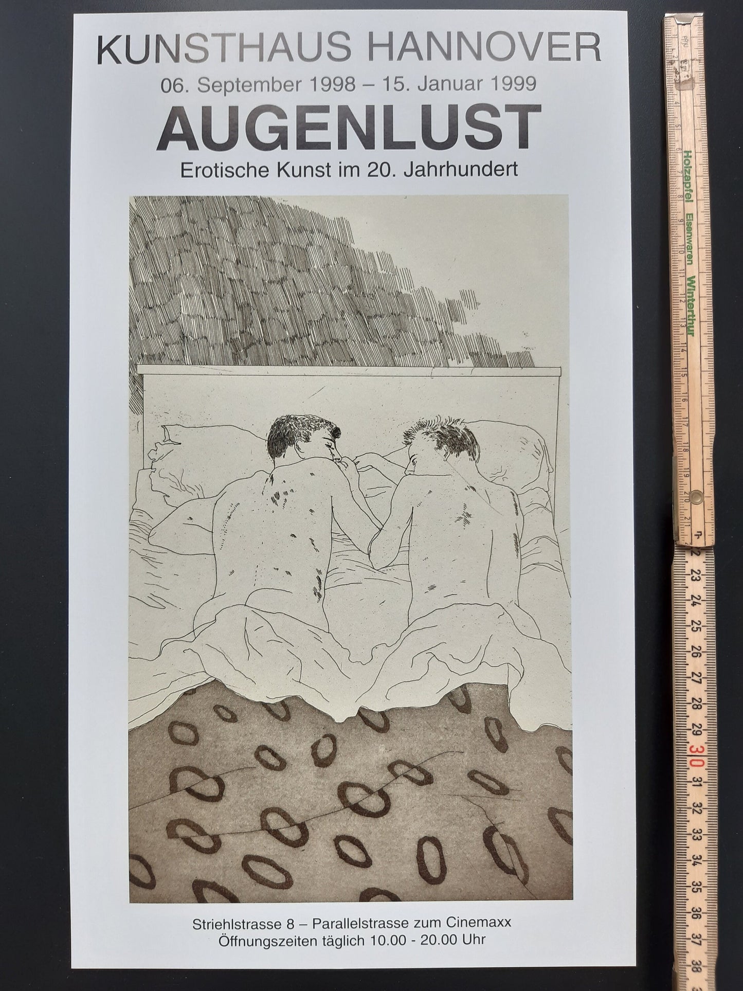 David Hockney original art mini-poster - 9.1"×15.6" (23×39.5cm)