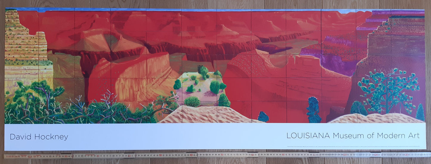David Hockney original art poster - 18.1"×53.9" (45.9×136.9cm)