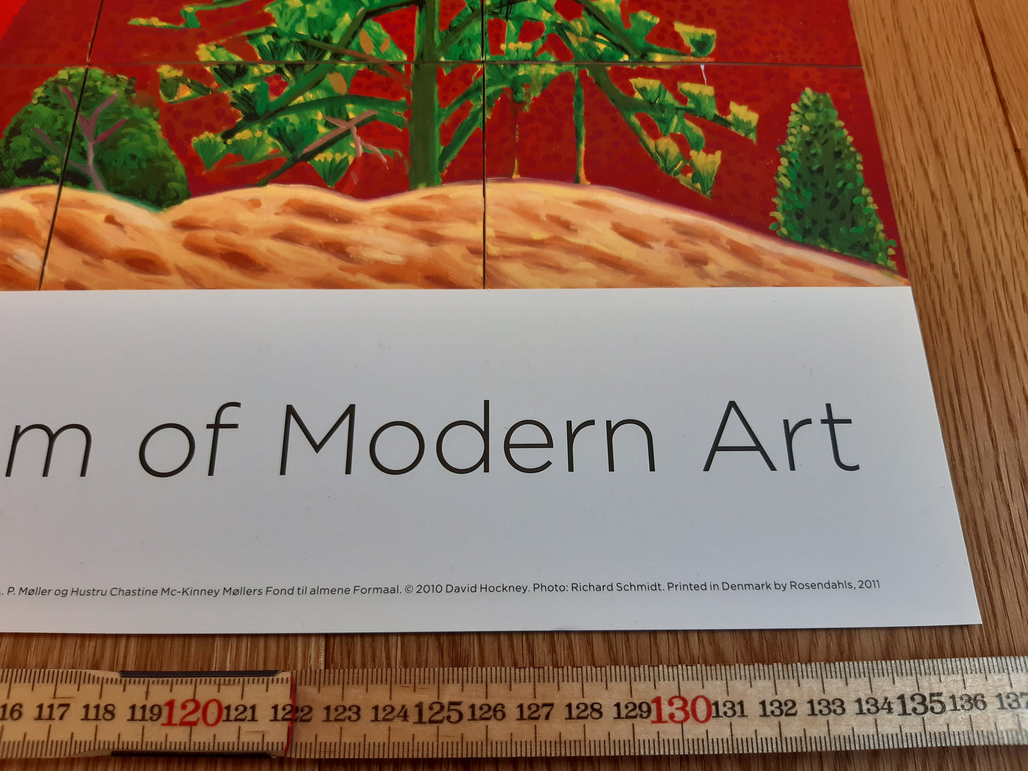 David Hockney original art poster - 18.1"×53.9" (45.9×136.9cm)