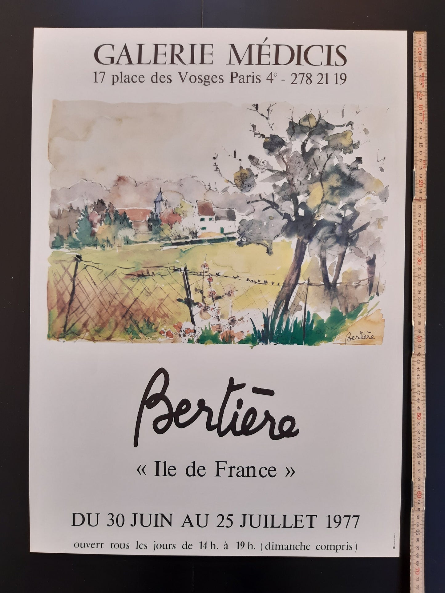Denise Bertiére original art poster - 19.3"×27.2" (49×69cm)