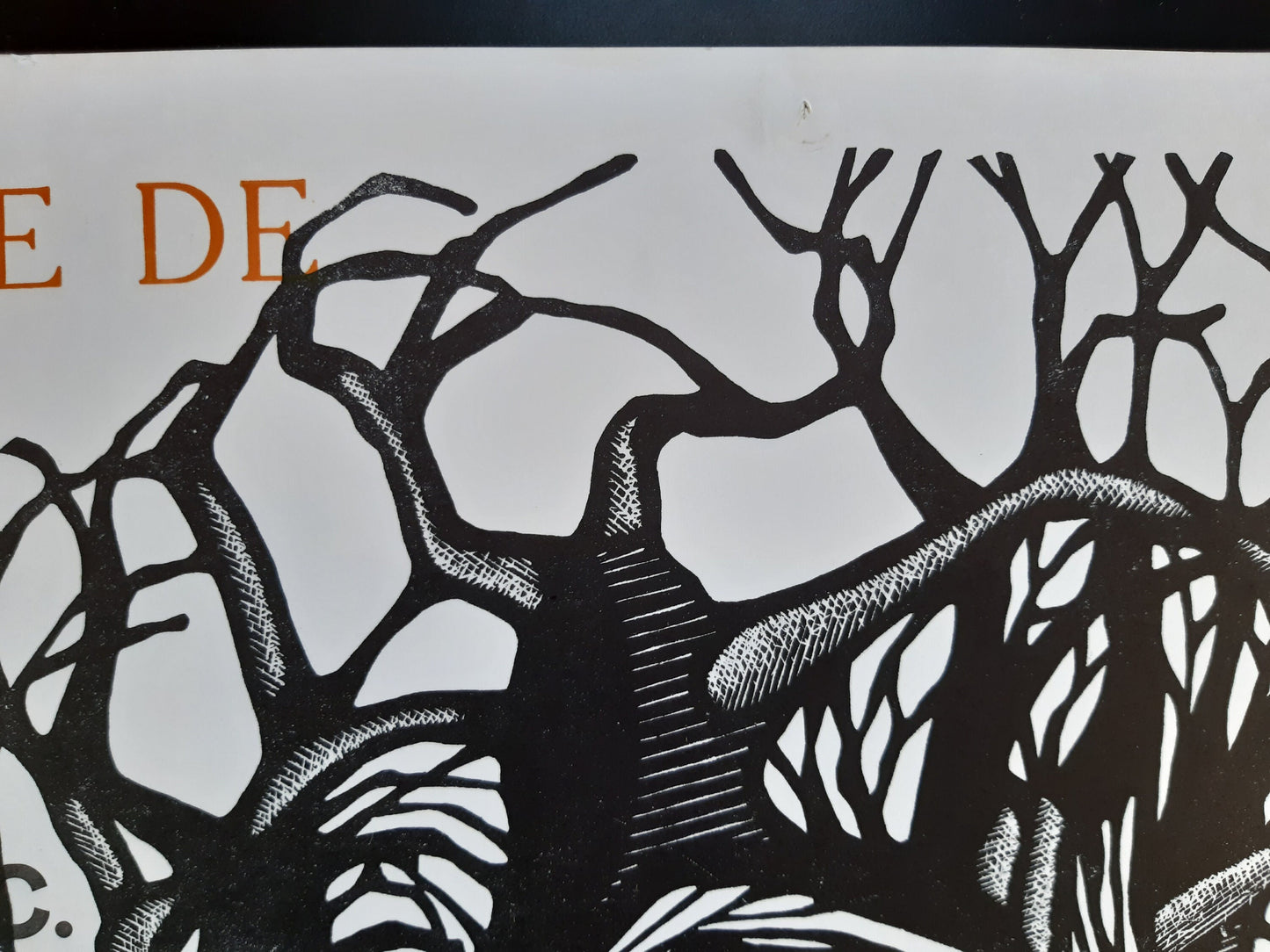 Barbara Alvaredo original wood print - 17.3"×21.7" (44×55cm)
