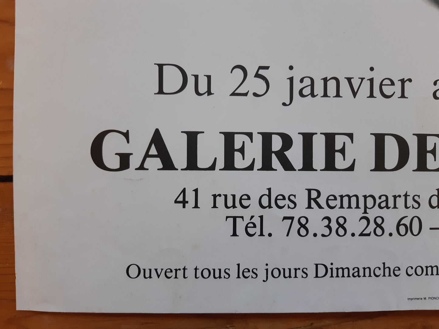 Cécile Tarel original art exhibition poster used - 17.7"×25.2" (45×64cm)
