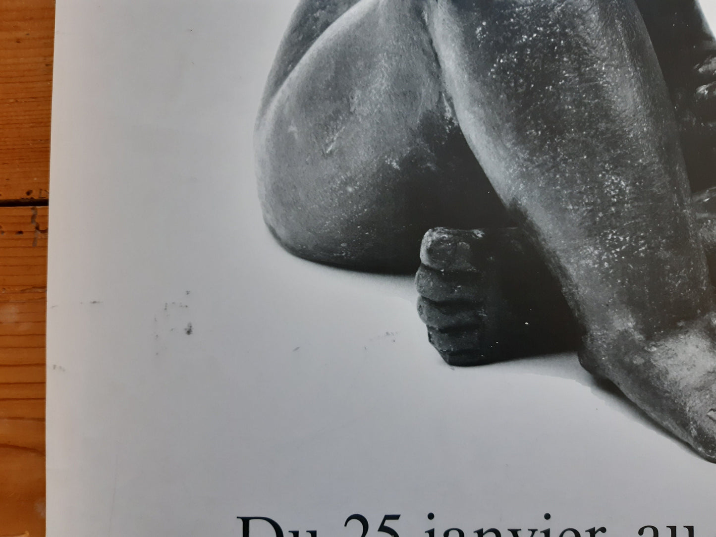 Cécile Tarel original art exhibition poster used - 17.7"×25.2" (45×64cm)