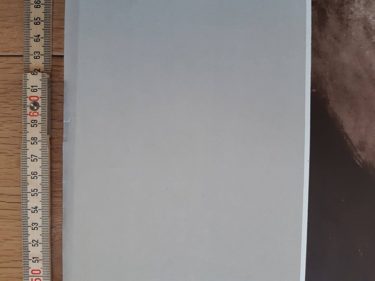 Renoir original museum poster - 35.6"×50.4" (90.3×128cm)