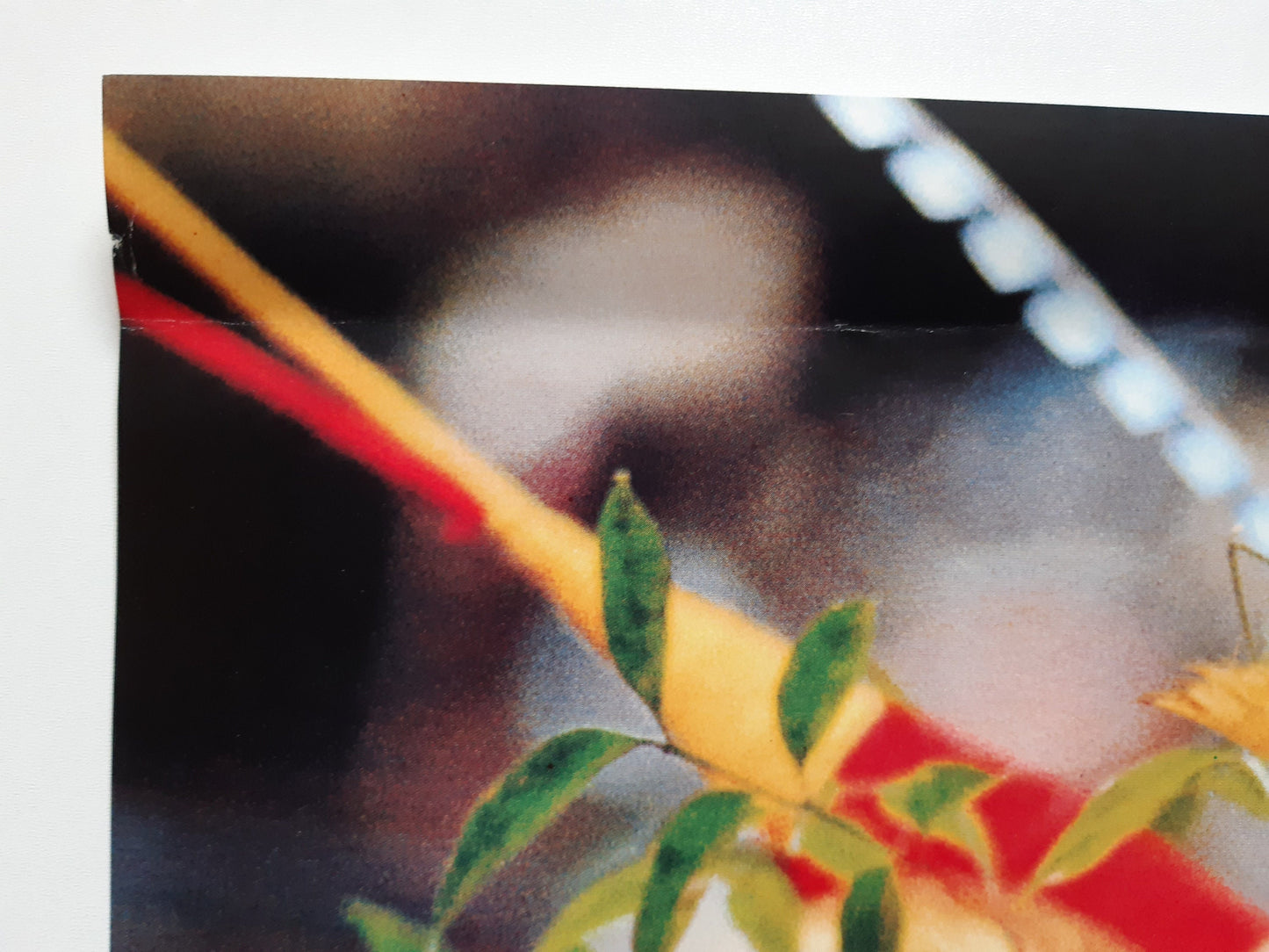 Oceania photo museum exhibition poster - 19.6"×29.1" (49.8×74cm)