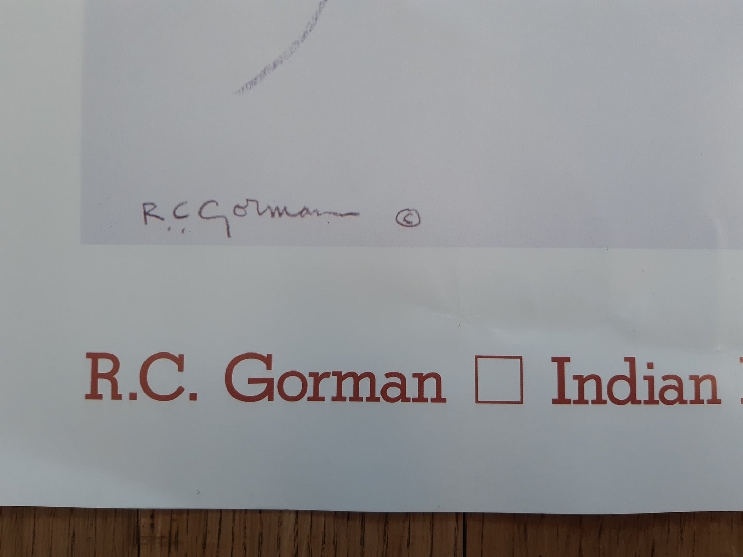 R. C. Gorman original art poster - 24.0"×29.9" (61×76cm)